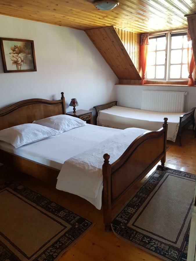 Pensiunea Bunea Haţeg Zewnętrze zdjęcie